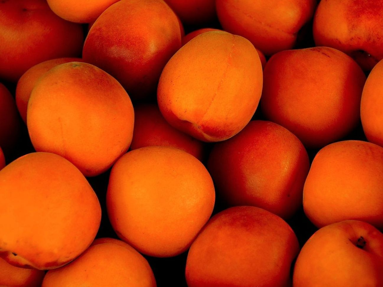 Fresas diarias